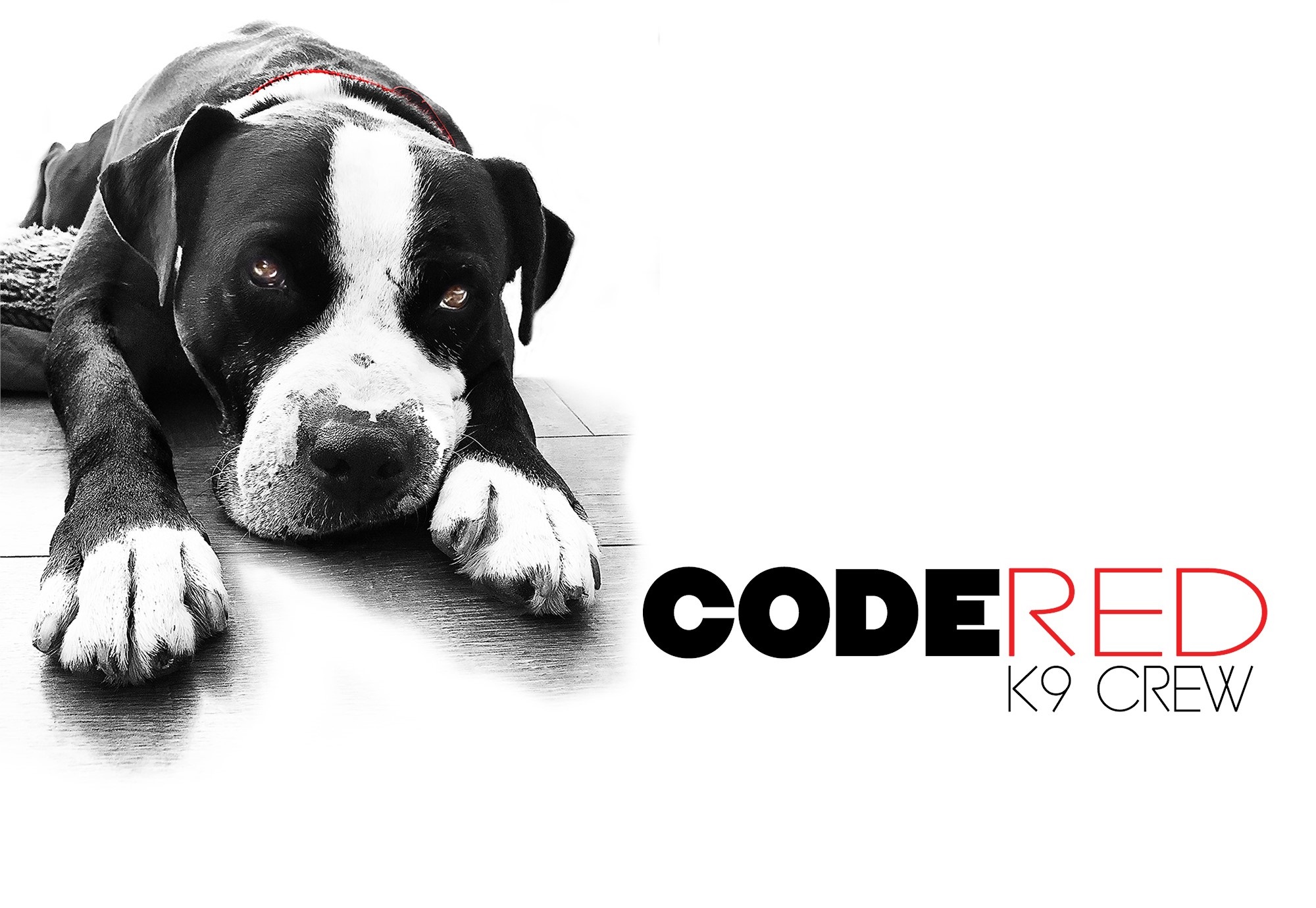 Code Red K9 Crew