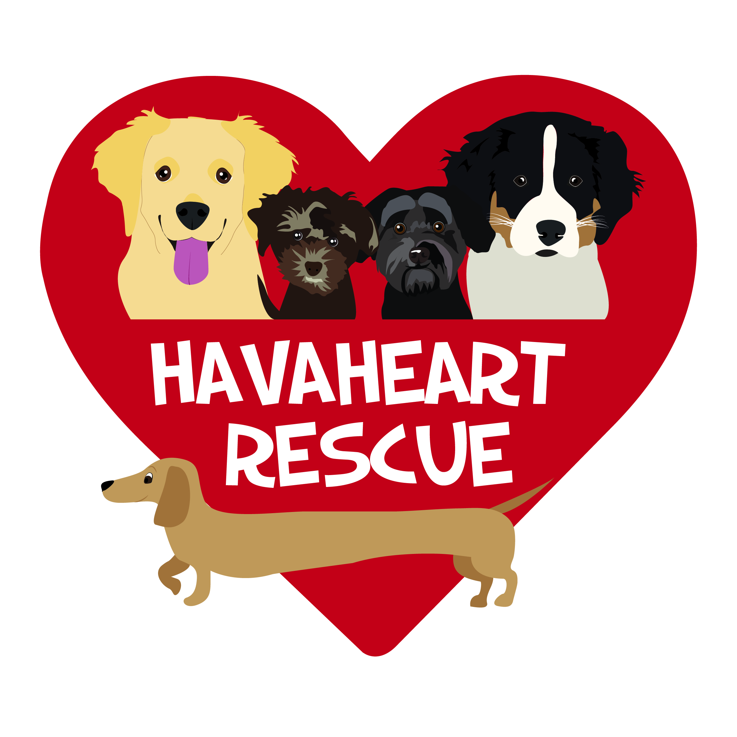 Shelter logo