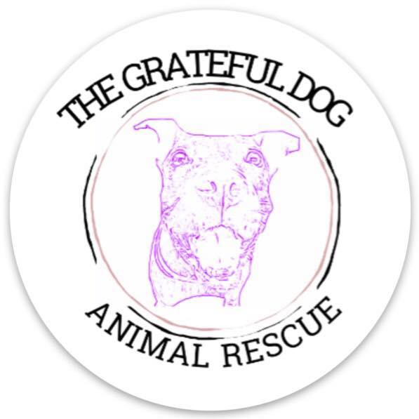 Grateful store dog rescue