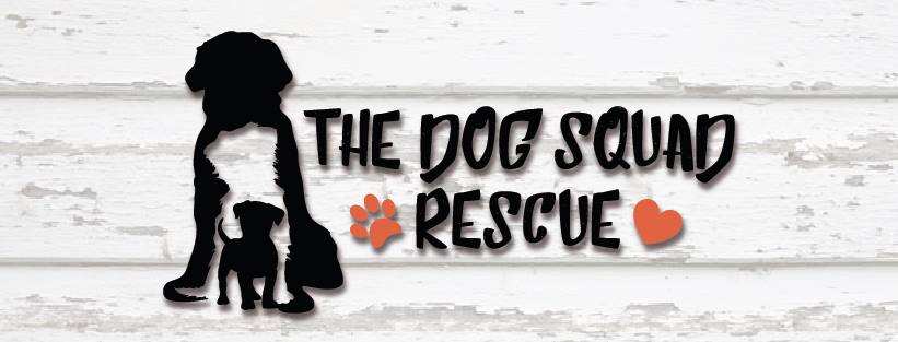 The Dog Squad Rescue