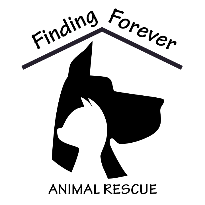 Finding Forever Animal Rescue