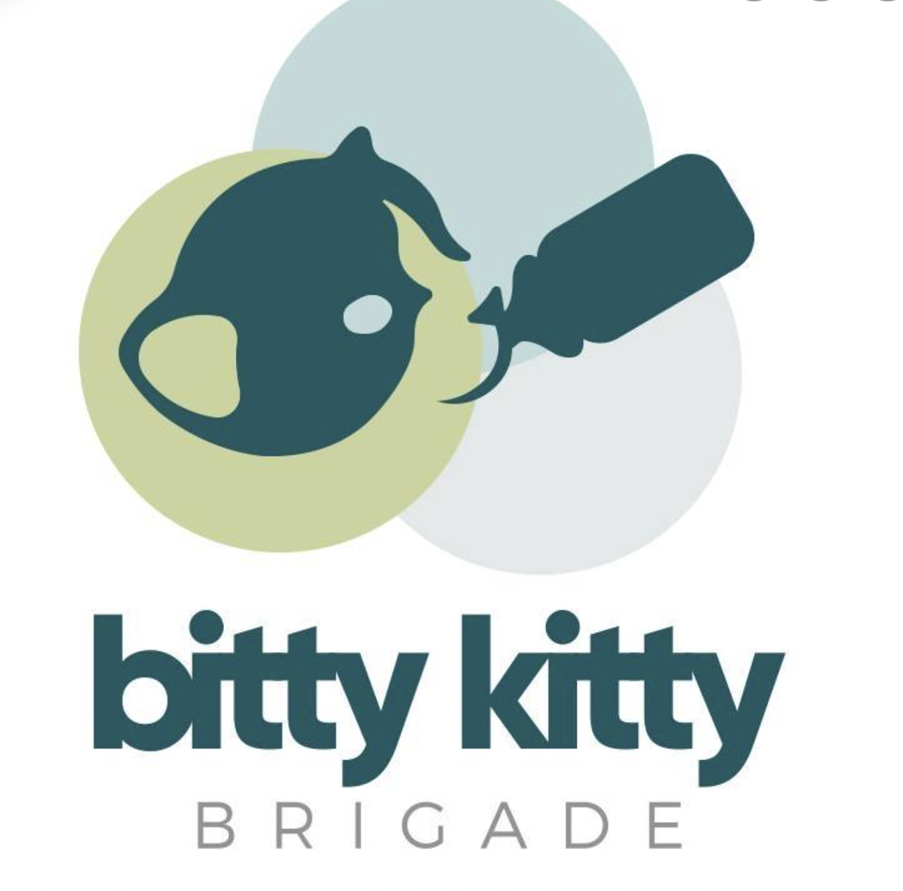 The Bitty Kitty Brigade