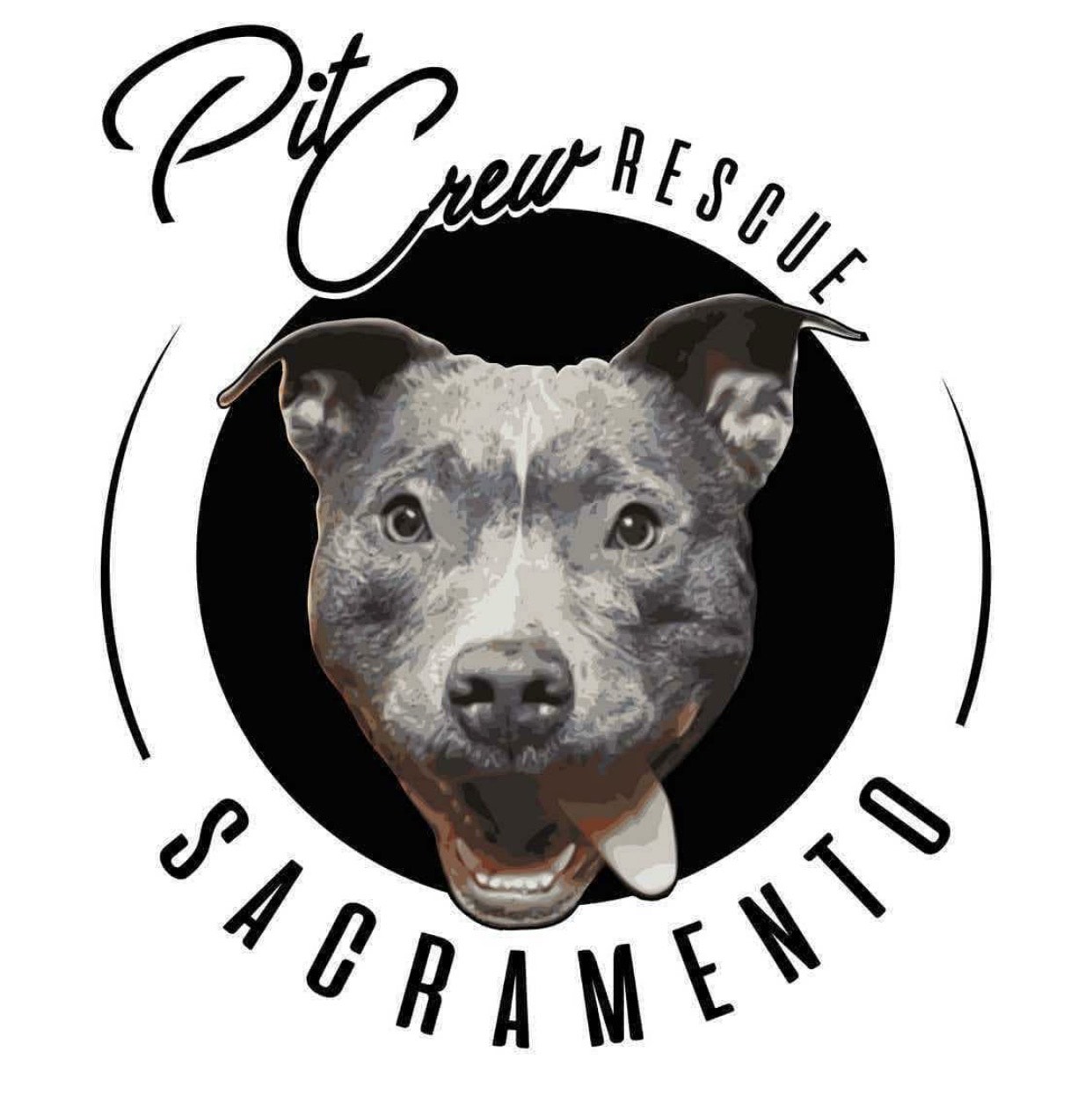 Pit Crew Sacramento Rescue