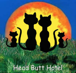 Head Butt Hotel