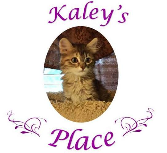 Kaleys Place Inc