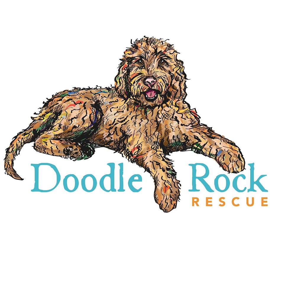 Give rescue pets a second chance by donating to Doodle ...