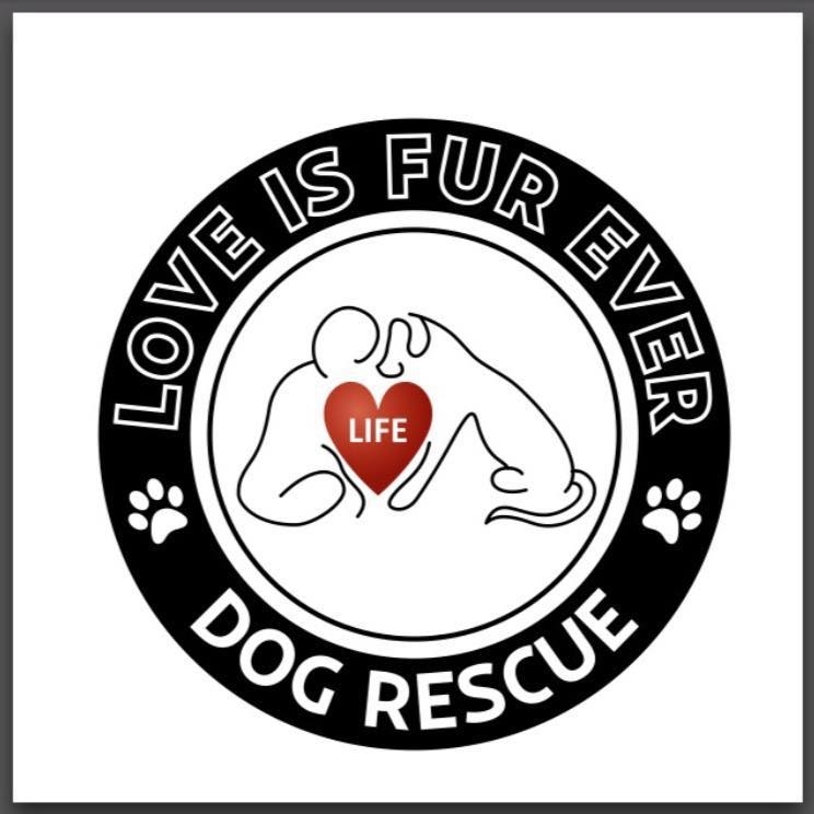 Love Is Fur Ever Dog Rescue