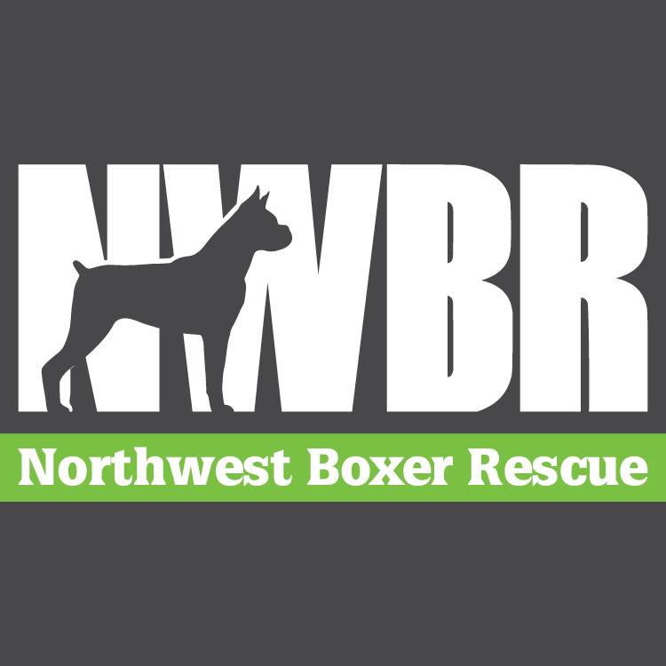 Northwest Boxer Rescue