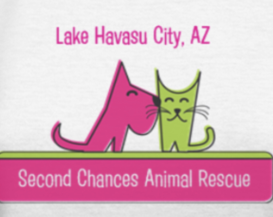Second Chances Animal Rescue Sanctuary Cuddly