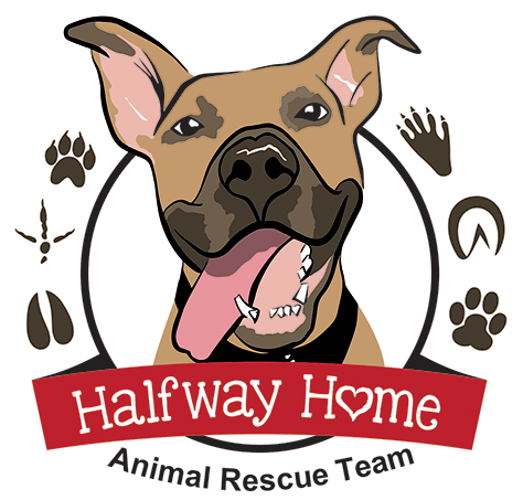 Halfway Home Animal Rescue Team