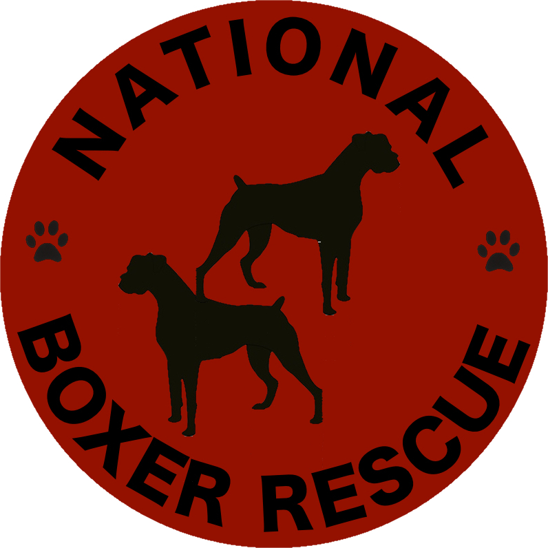 No kill boxer sales rescue