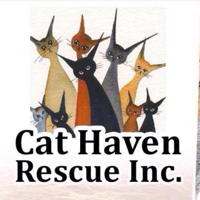 Cat Haven Rescue Inc