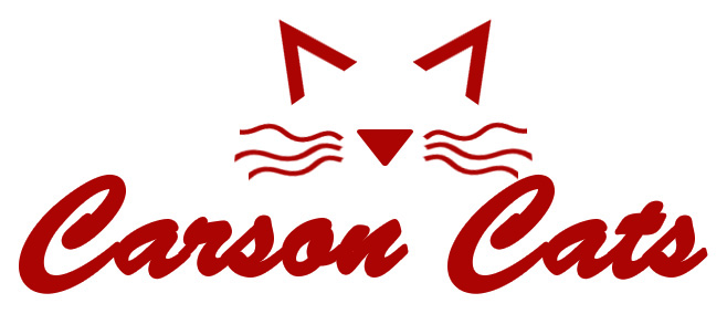 Carson Cats Rescue 