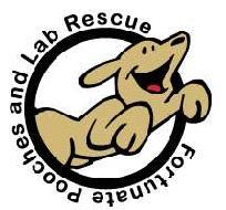 Fortunate Pooches and Lab Rescue