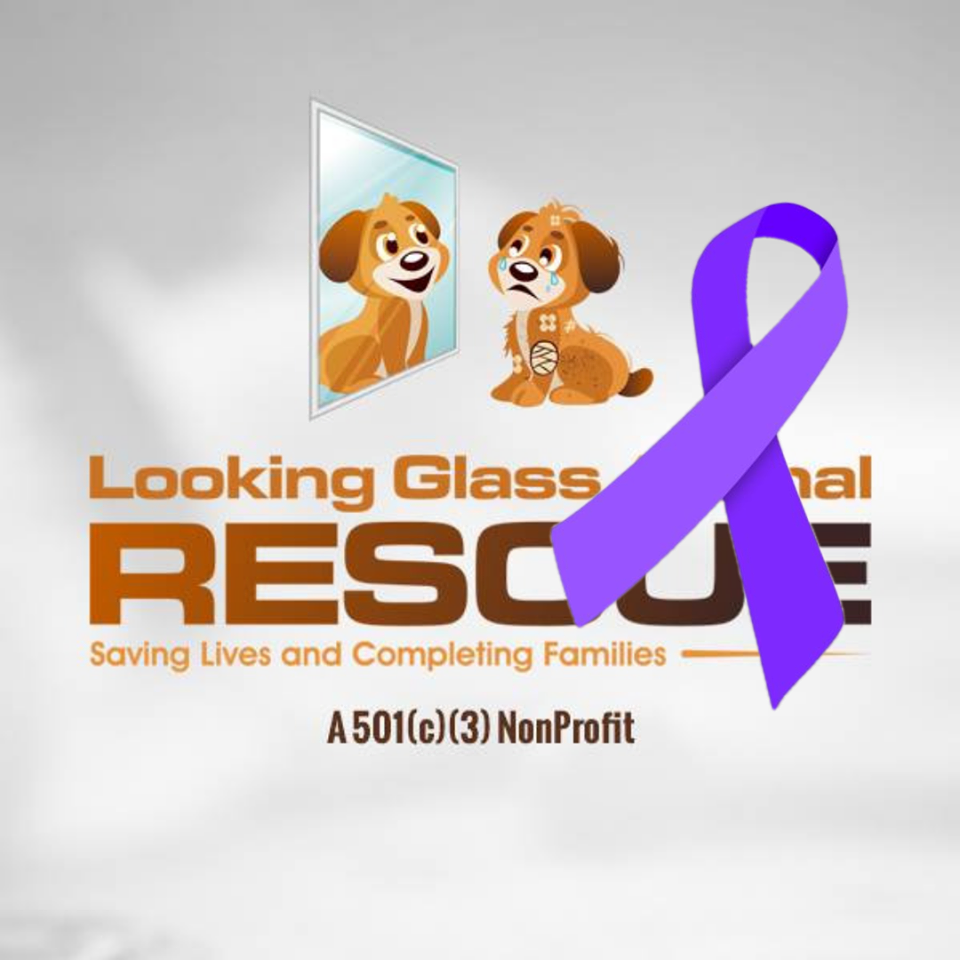 Looking Glass Animal Rescue