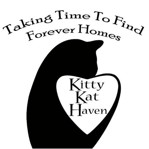 Shelter logo