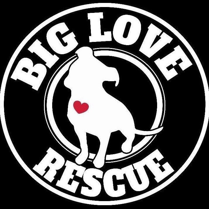 Big Love Rescue