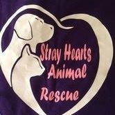 Stray Hearts Animal Rescue, Inc.