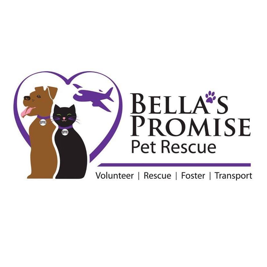 Bella's Promise Pet Rescue, Inc.