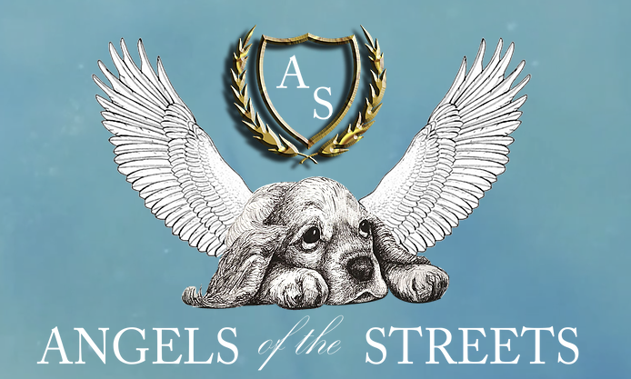 Angels Of The Streets