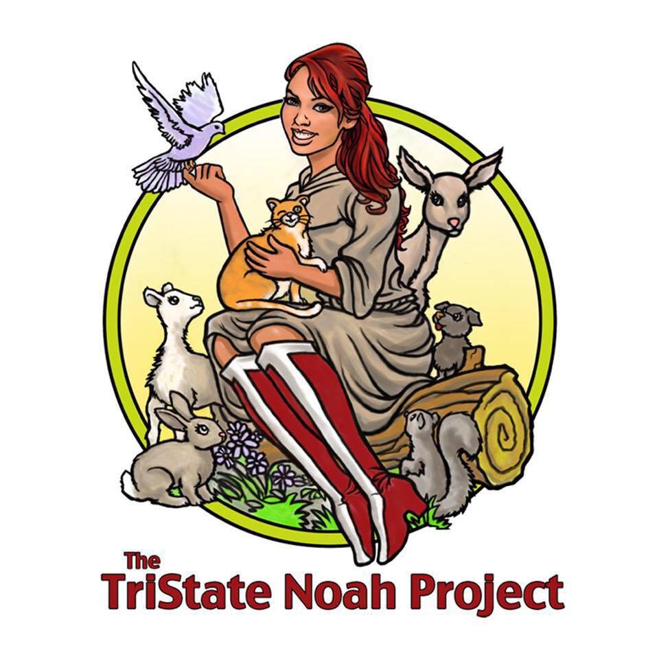 TriState Noah Project