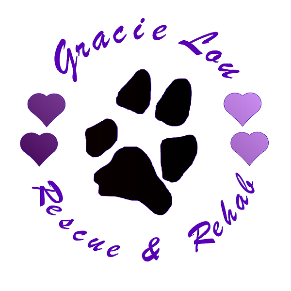 Gracie Lou Rescue & Rehab, Inc.