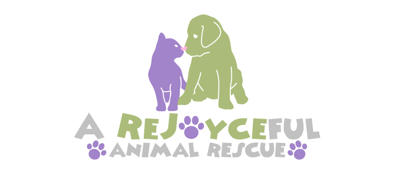 A ReJoyceful Animal Rescue