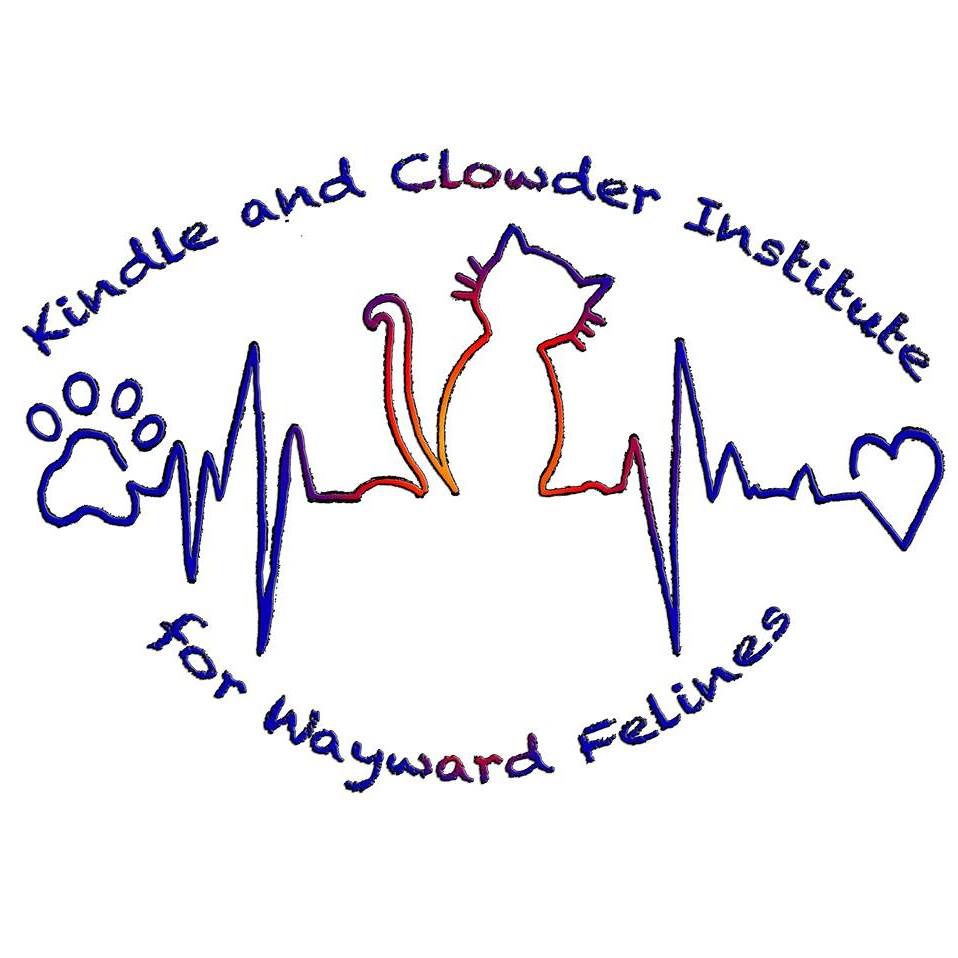 The Kindle and Clowder Institute for Wayward Felines