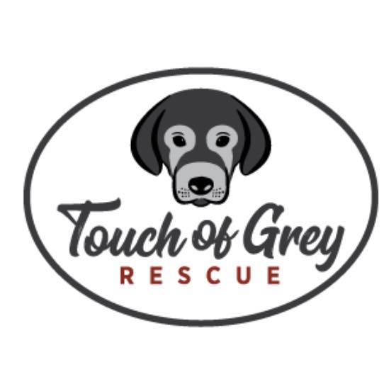 Touch of Grey Rescue