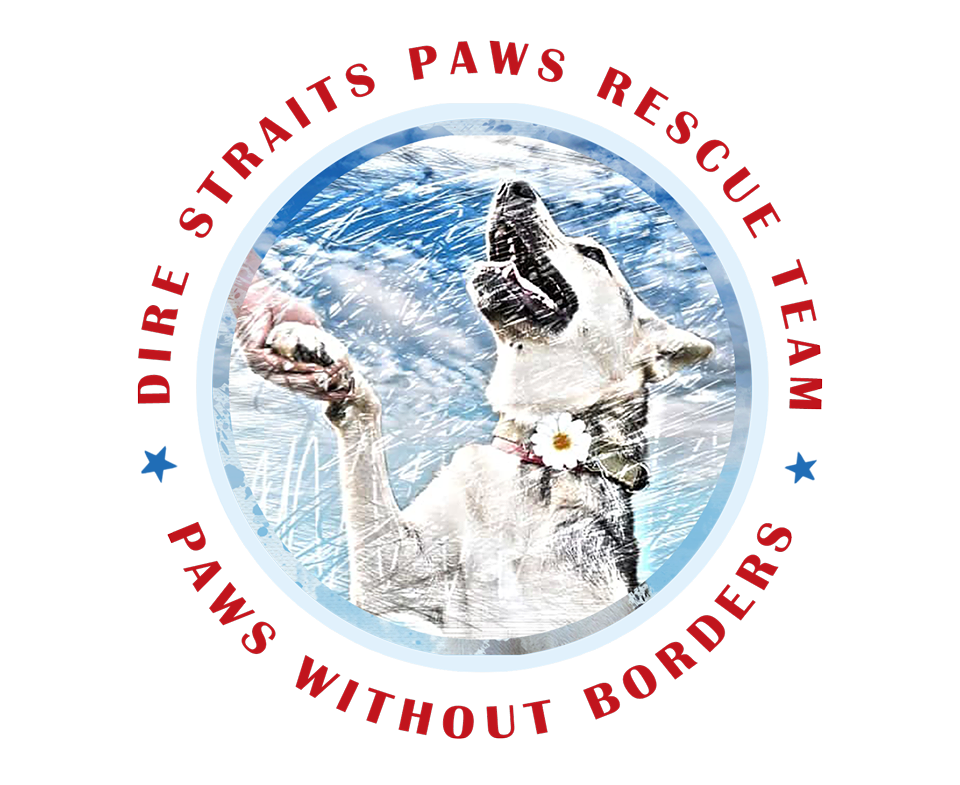 Dire Straits Paws Rescue Team