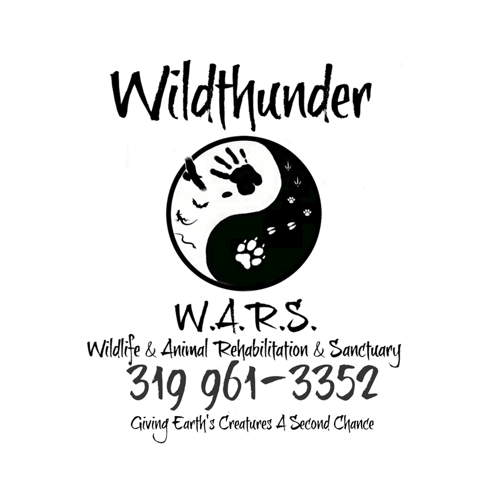 Wildthunder Wildlife & Animal Rehabilitation & Sanctuary