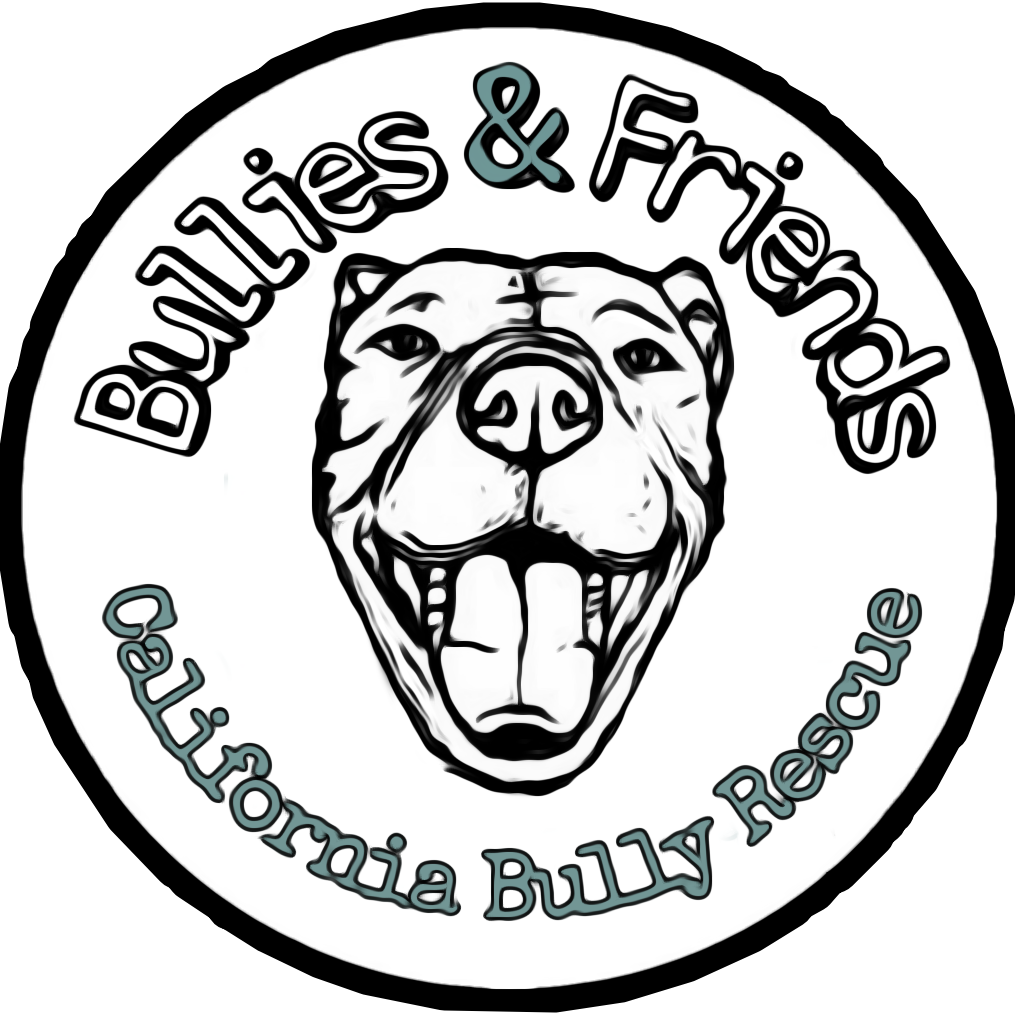 Shelter logo
