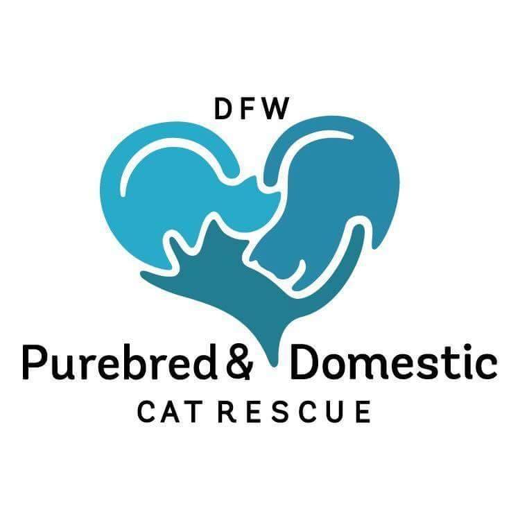 DFW Purebred and Domestic Cat Rescue, Inc.