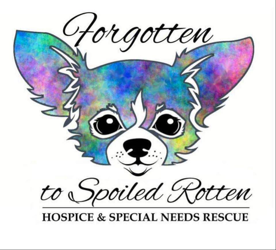 Forgotten To Spoiled Rotten Animal Sanctuary