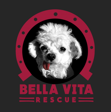 Bella Vita Rescue