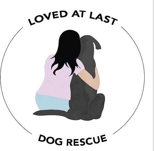 Shelter logo