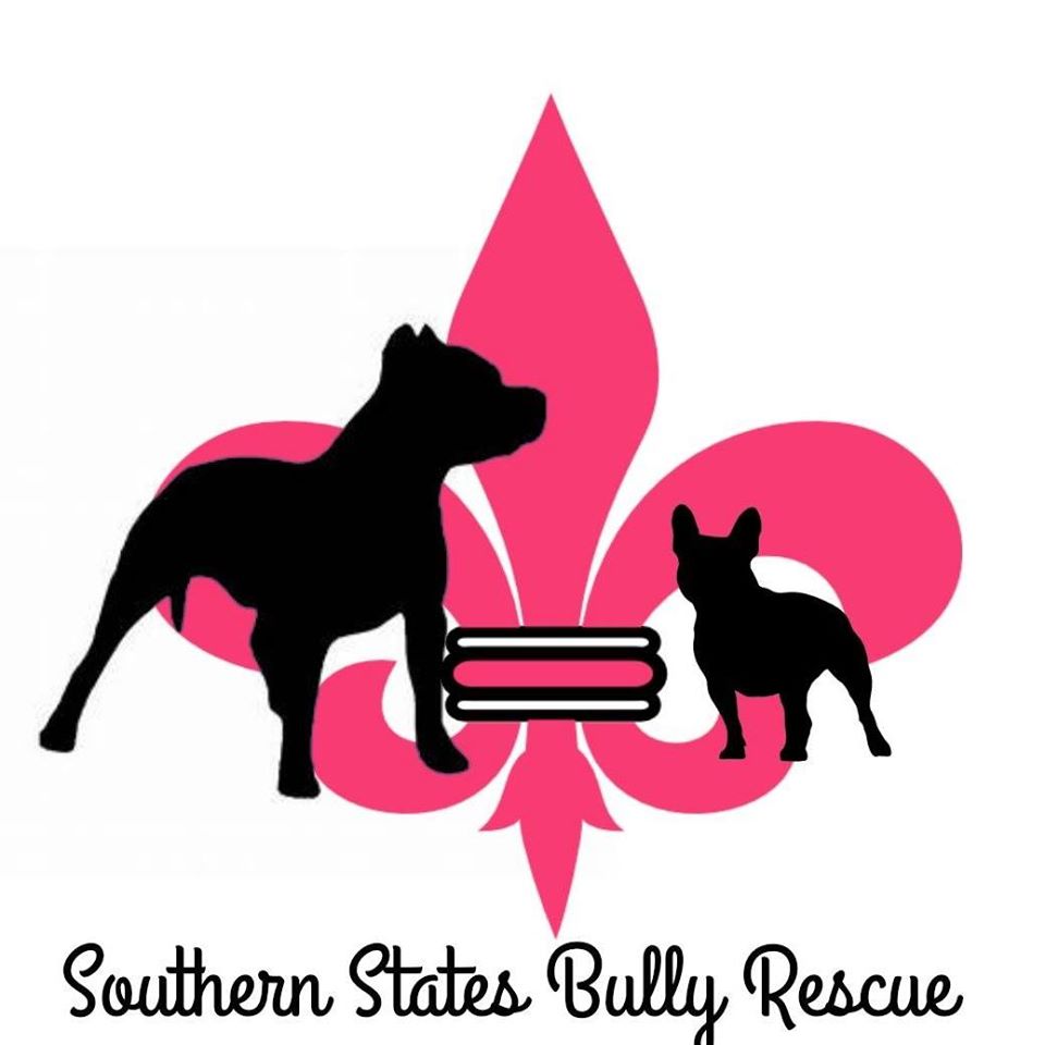 southern states bully rescue        
        <figure class=