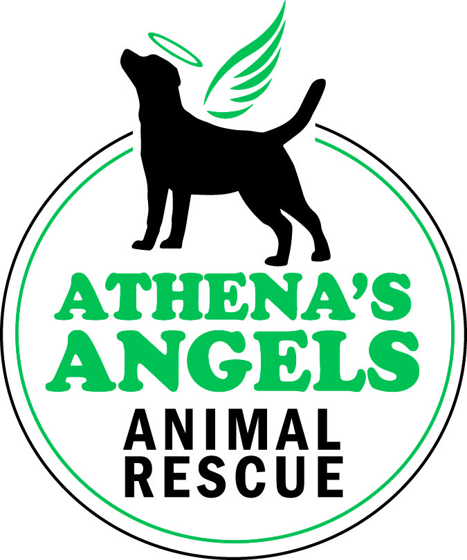 Athena's Angels Rescue