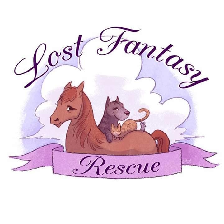 Lost Fantasy Rescue 