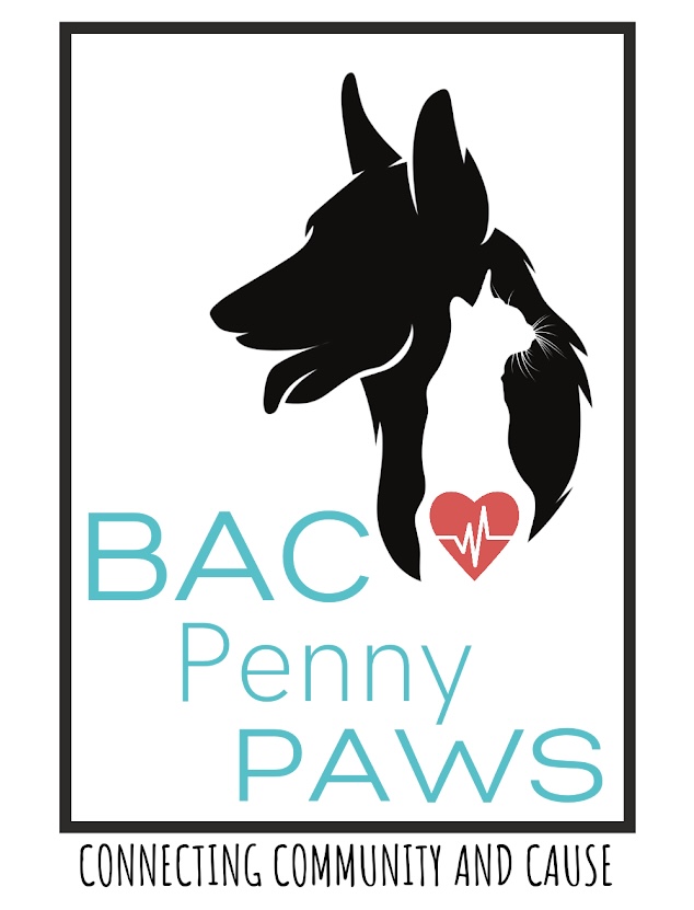 BAC Penny PAWS 