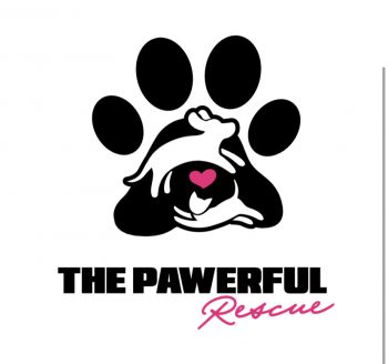 The Pawerful Rescue 