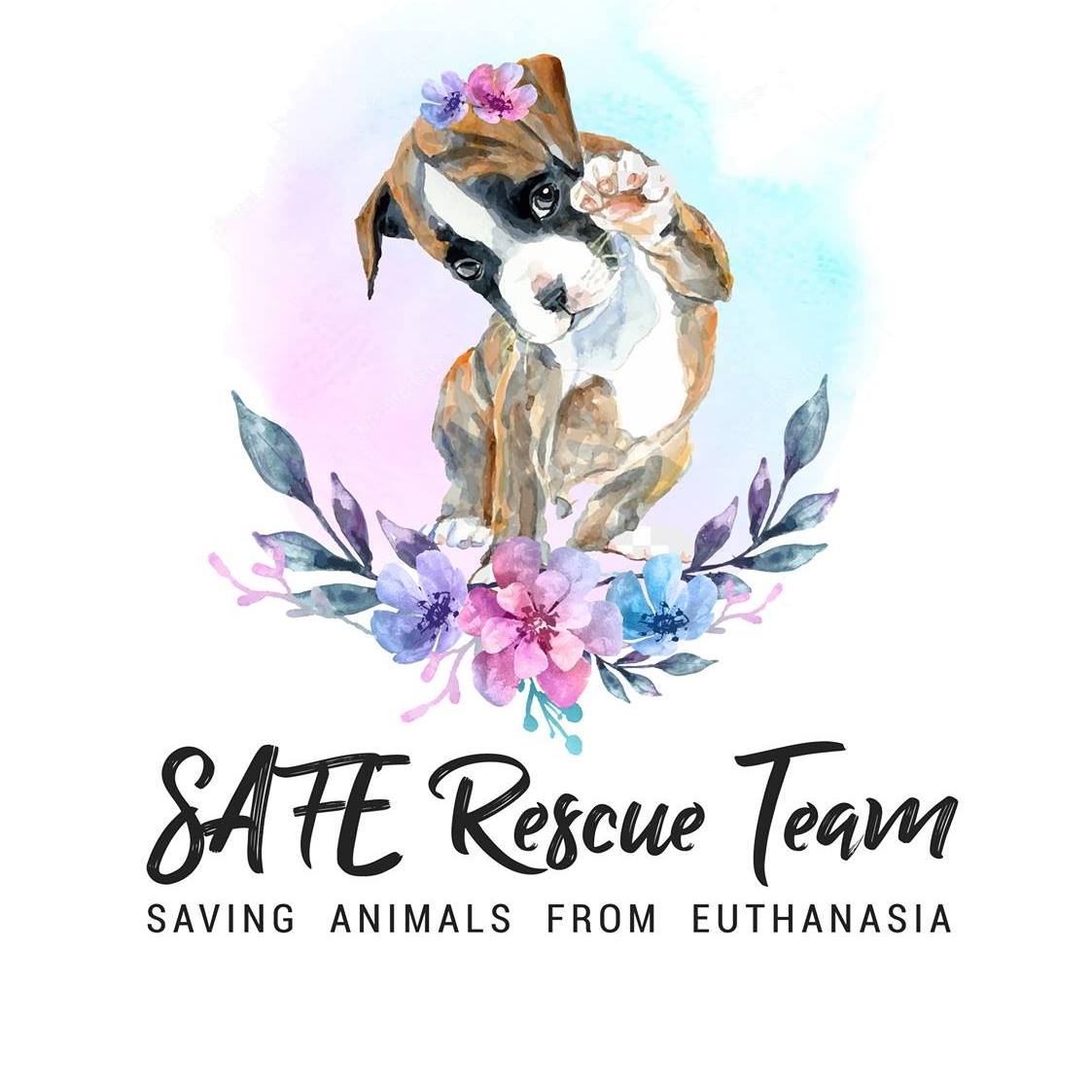 SAFE Rescue Team