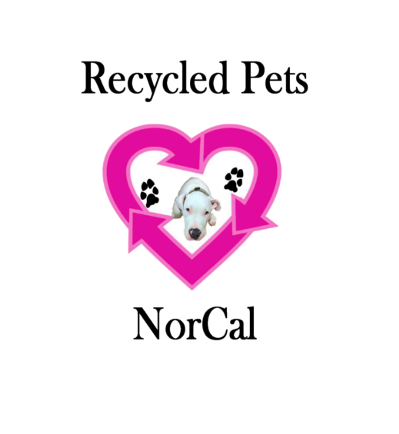 Recycled Pets NorCal