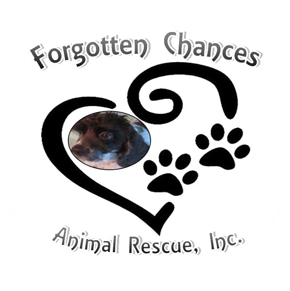 Forgotten Chances Animal Rescue