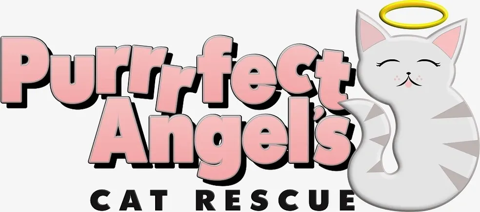 Purrrfect Angels Cat Rescue & Sanctuary