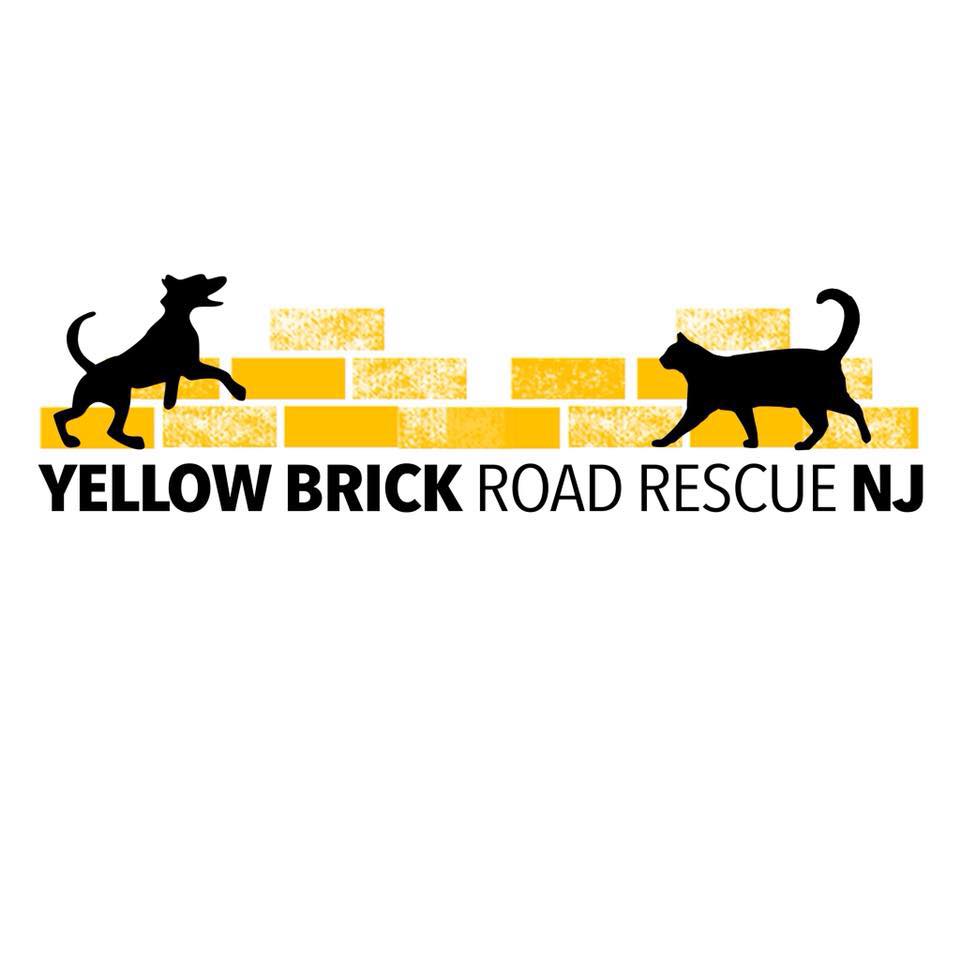 Yellow Brick Road Rescue NJ