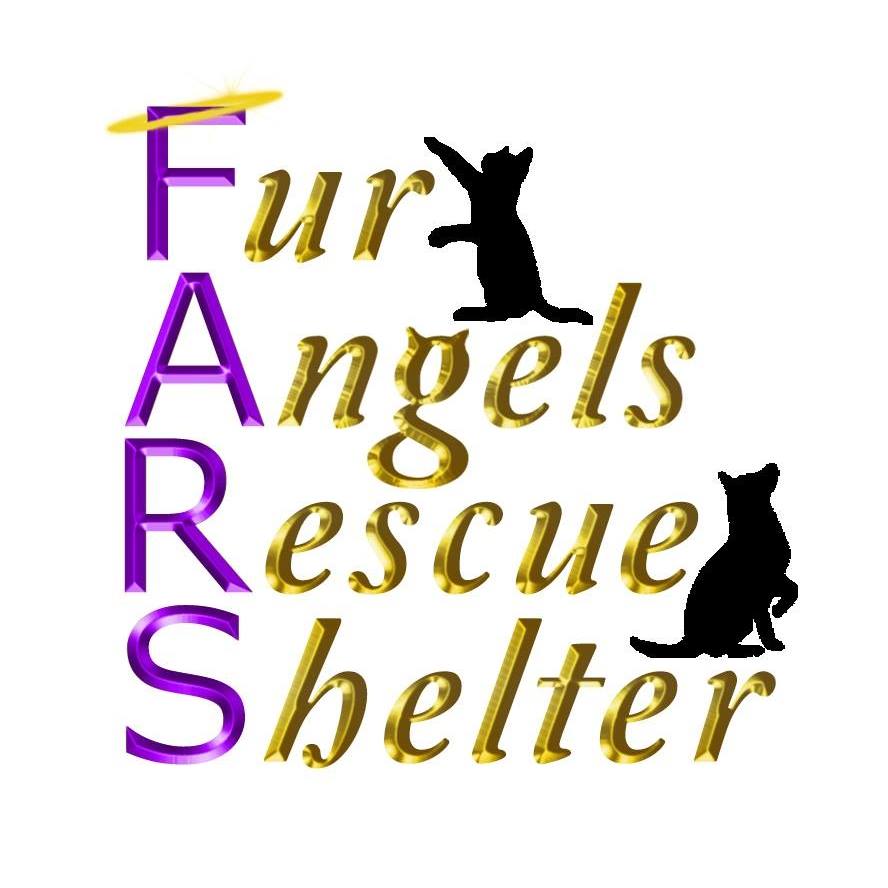 Fur Angels Rescue Shelter