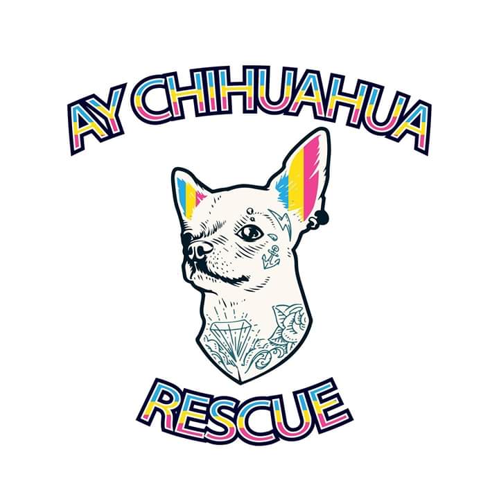 AY CHIHUAHUA RESCUE