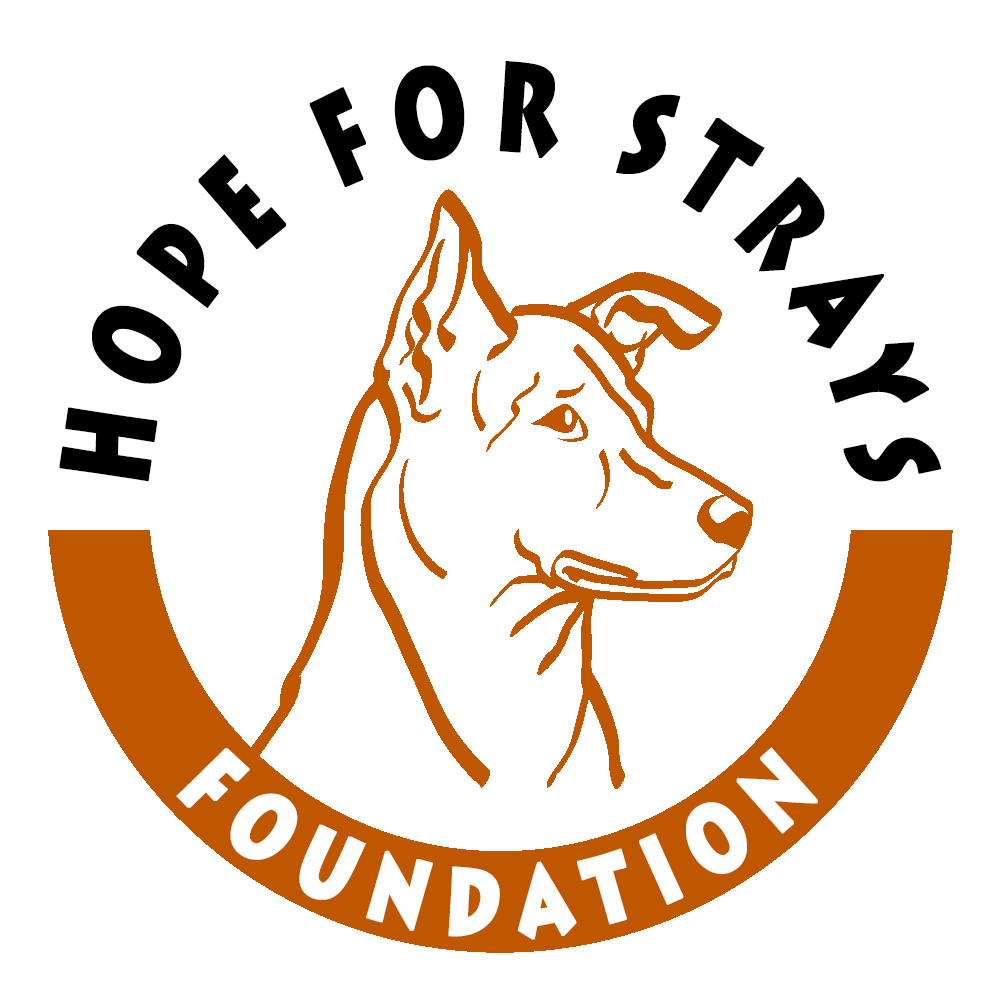 Hope For Strays Foundation