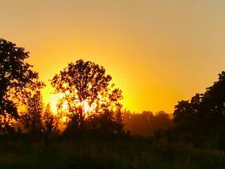 Sunset Farms Sanctuary